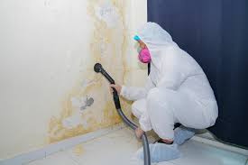 Best Water Damage & Mold Remediation  in Nome, AK